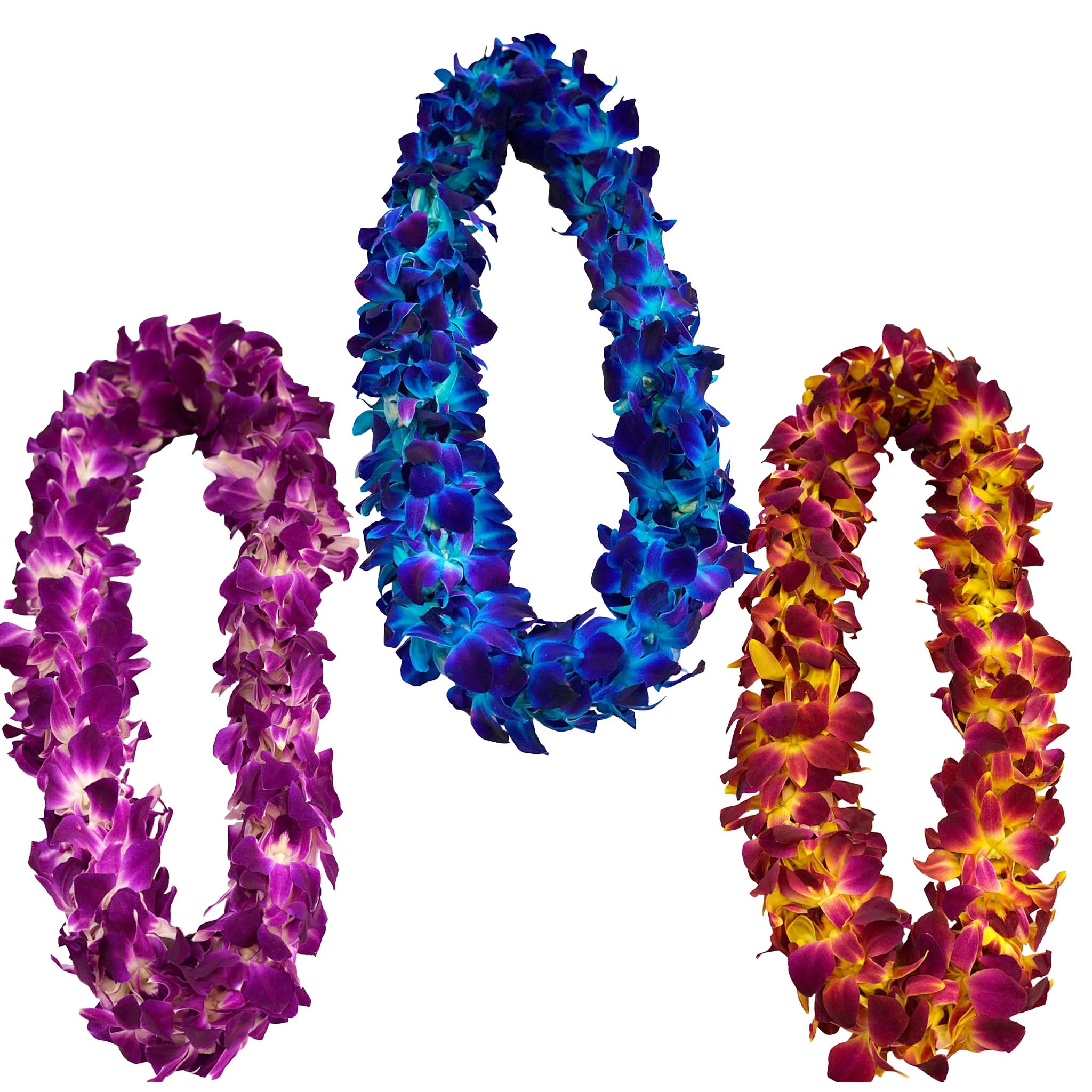 Orchid Leis