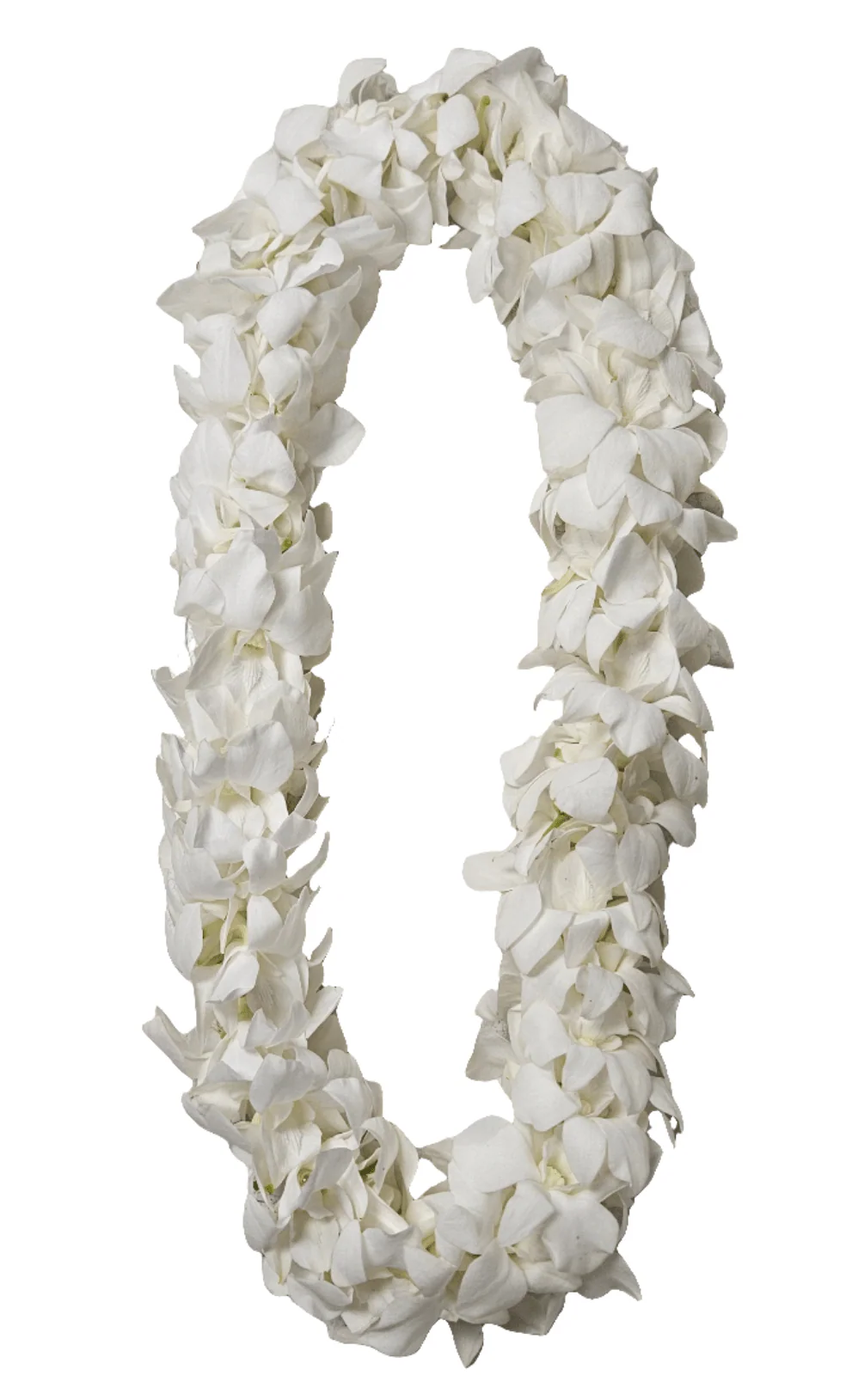 Double Orchid Lei - 1 Color - Image 7
