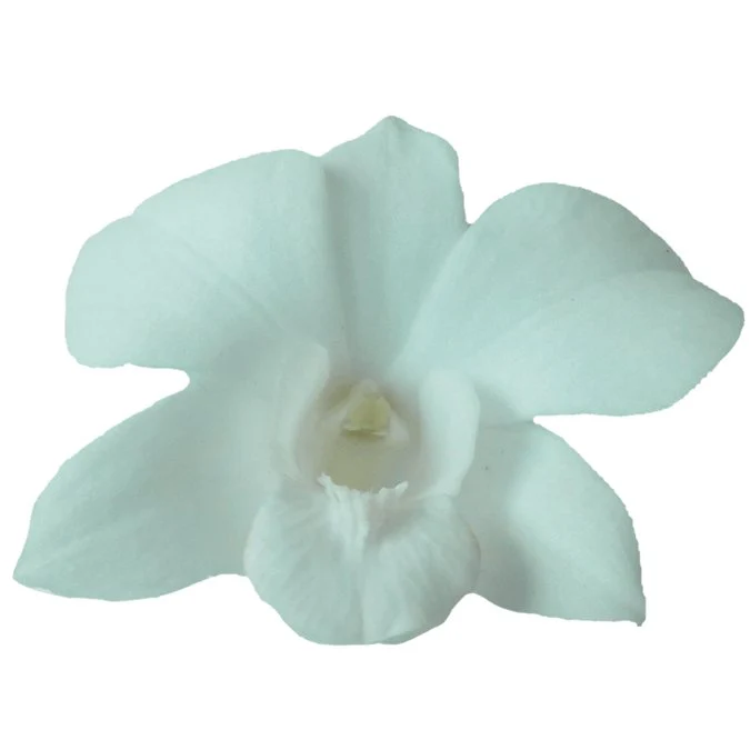 Loose Orchid Blooms - Image 4