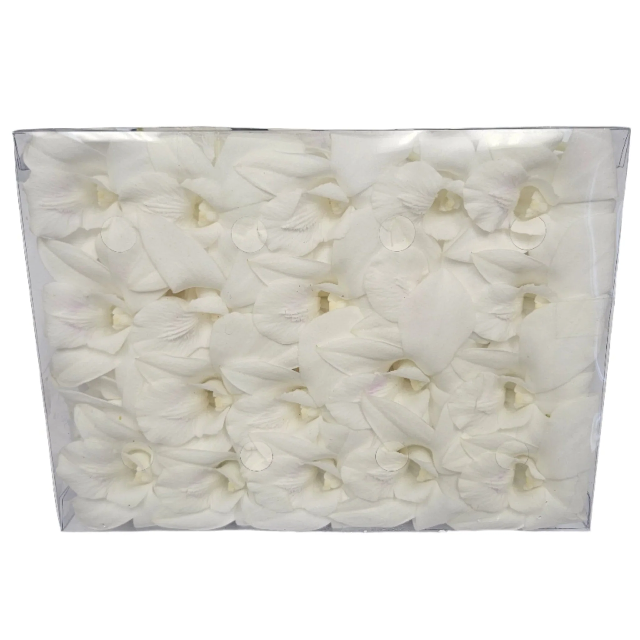 Loose Orchid Blooms - Box of 50 - Image 4
