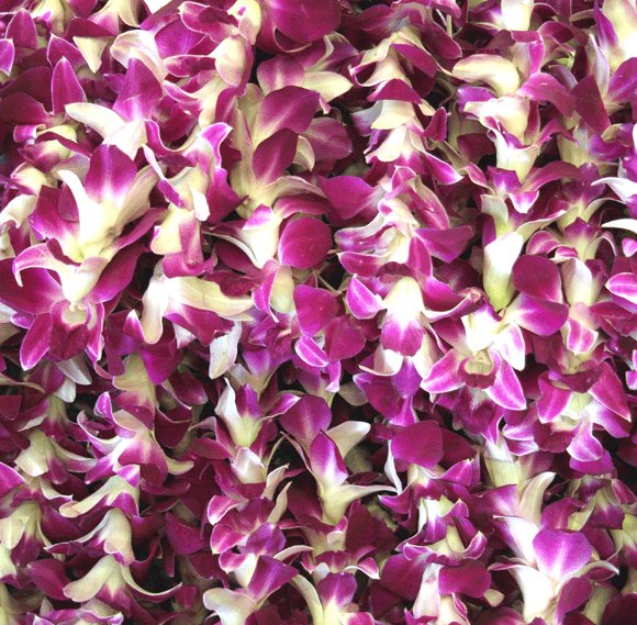 Single Orchid Purple Lei - Poni Honi Packages - Image 3