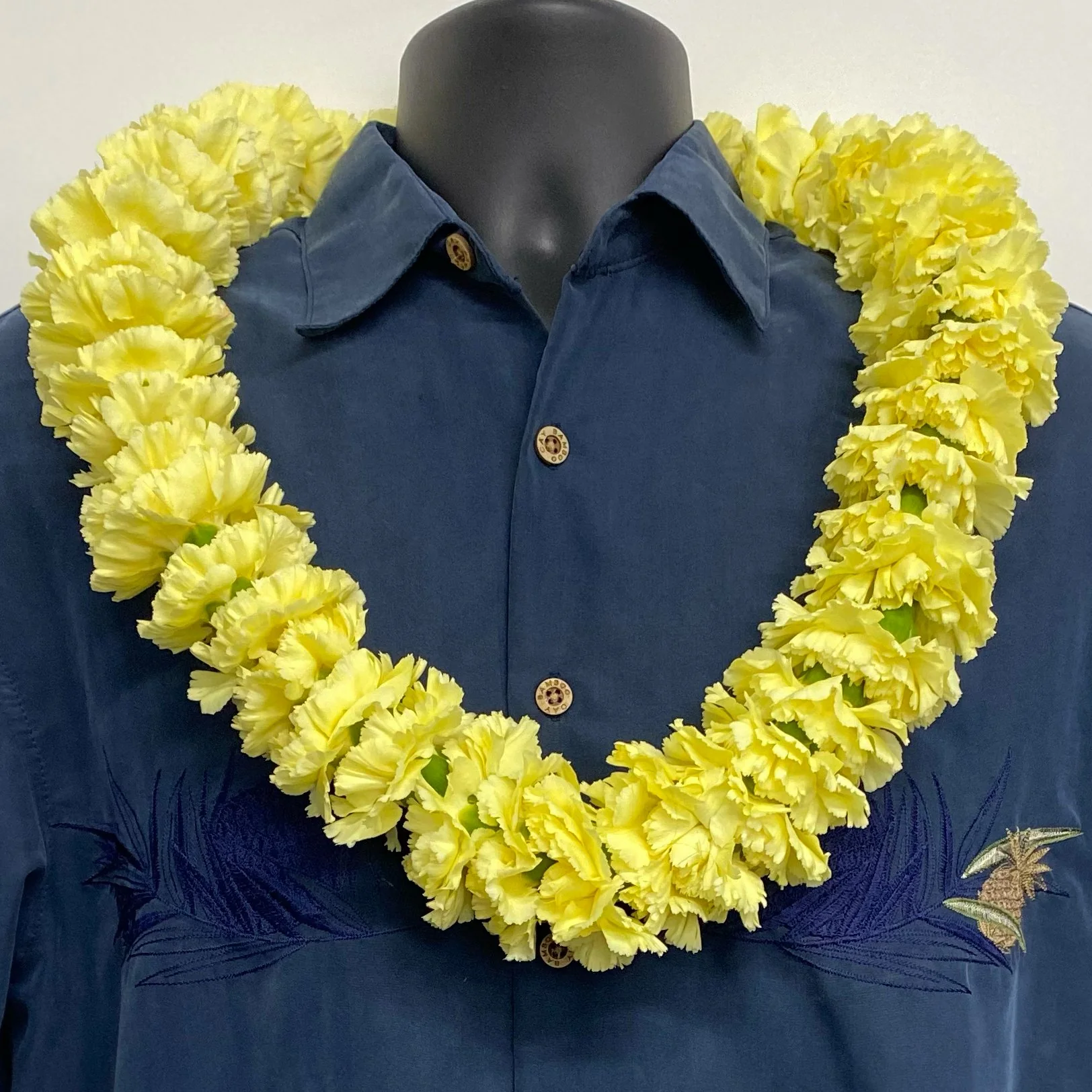 Standard Carnation - Image 4